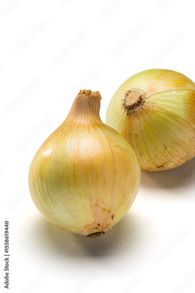 Fototapeta premium 玉ねぎ