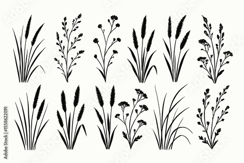 Set of solid black silhouettes of wild grass and meadow plants