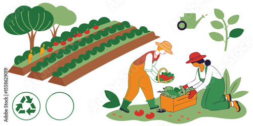 Organic Farming and Harvesting Illustration – Sustainable Agriculture Concept Vector