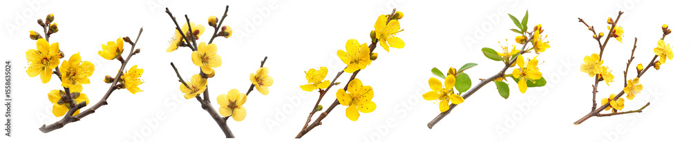 Obraz premium Vibrant Yellow Winter Flowers: A Close-Up of Blooming Branches