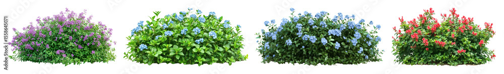 PNG Colorful lush flowering bushes, element set on transparent background PNG Colorful lush flowering bushes, element set on transparent background