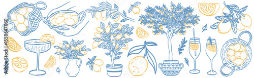 Lemon line vector drawing. Italian hand drawn doodle summer citrus fruit. Sketch lemon branch or tree in Mediterranean vase. Traditional lemonade cocktails. Amalfi or Sicily Italy coast illustration.