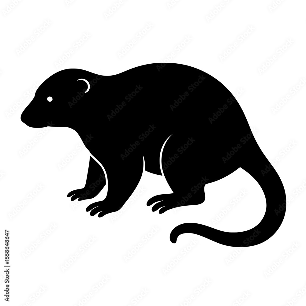 Obraz premium Silhouette of Common Spotted Cuscus with Curved Tail