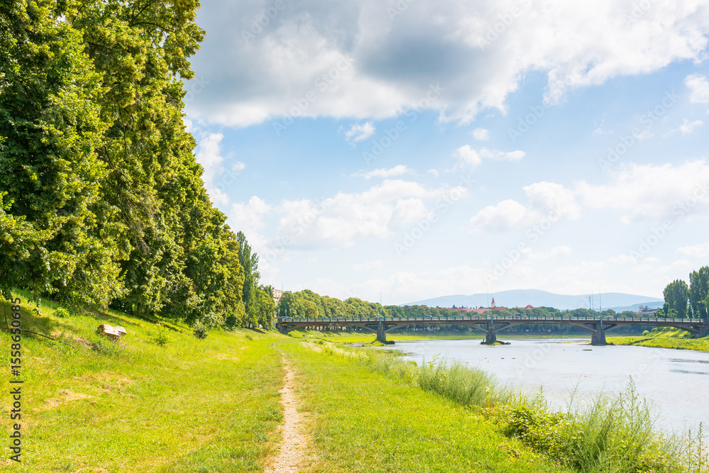 Obraz premium embankment with linden trees in blossom. travel destination. scenery by the river uzh on a sunny day. masaryk bridge in the distance