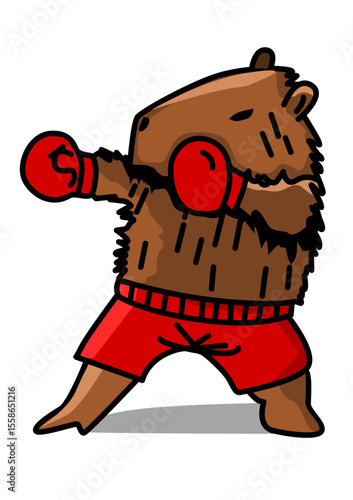 illustration of a boxing capybara