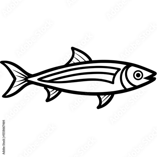 Sardine Line Art Illustration