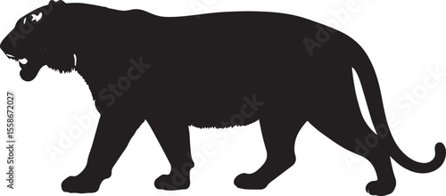  Indochinese tiger in silhouette pure white background.