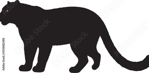 Melanistic Leopard in silhouette purw white background.