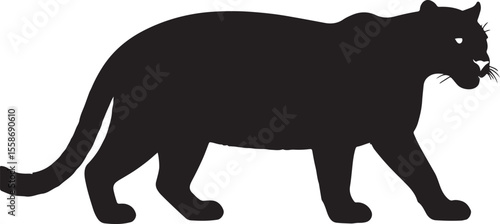 Night Panther in silhouette purw white background.