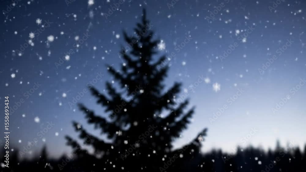 Snow Falling on Christmas Tree at Night Snow Falling on Christmas Tree at Night