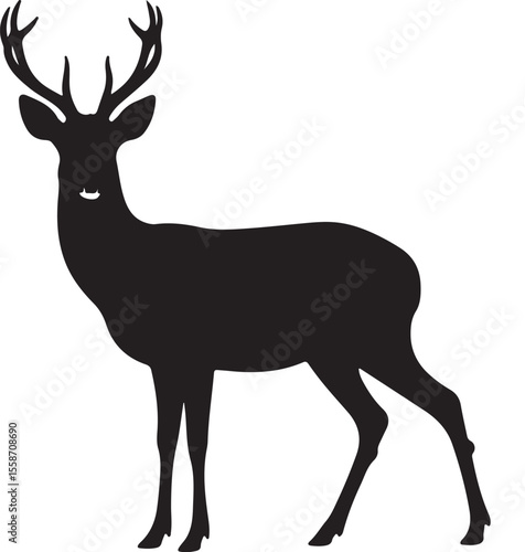 Siberian Roe Deer in silhouette pure white background..