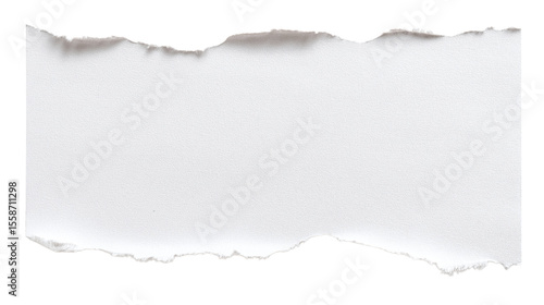 Torn piece of paper with raw edge isolated on white background