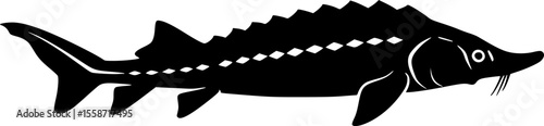 lake sturgeon line art silhouette vector illustration

