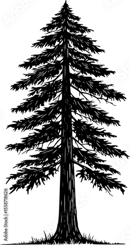 redwood tree line art silhouette vector illustration

