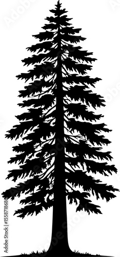 redwood tree line art silhouette vector illustration
