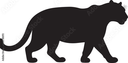 Tiger in silhouette pure white background.
