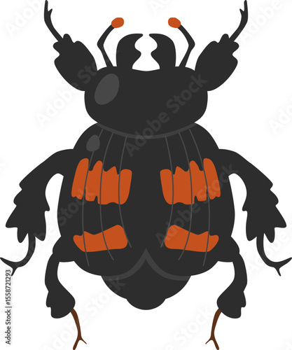 Burying Beetle Insect Vector Illustration