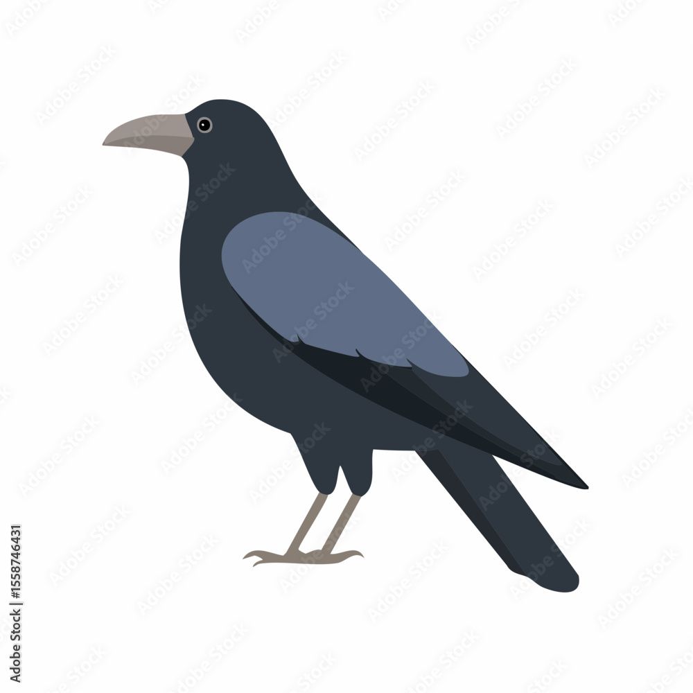 Obraz premium crow on a white background