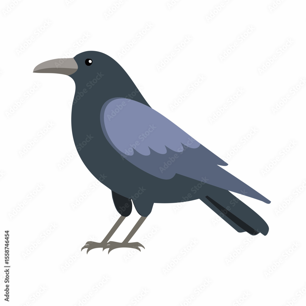 Obraz premium crow on a white background
