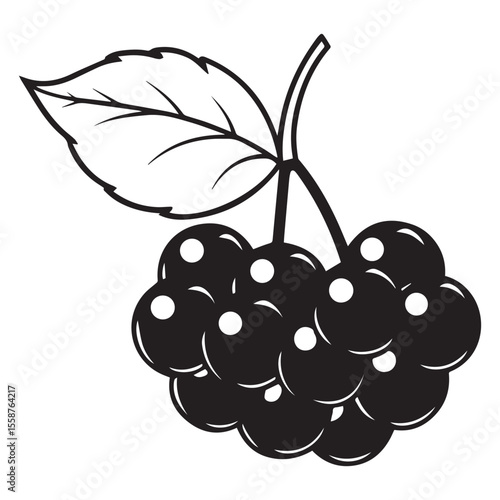 vector illustration of ripe berries