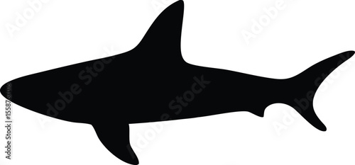 "Ferocious Shark Silhouette Swimming Isolated on White Background"
