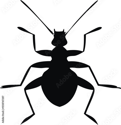 "Bedbug Silhouette Isolated on White Background"

