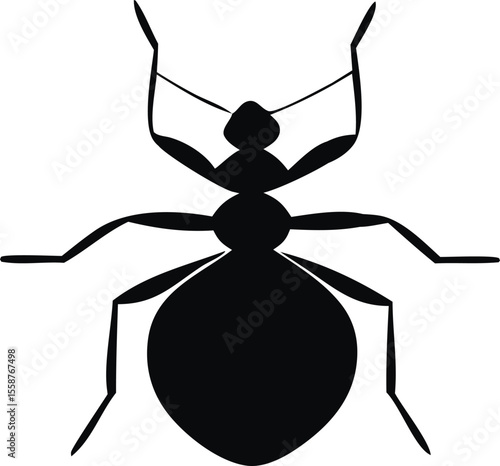 "Bedbug Silhouette Isolated on White Background"
