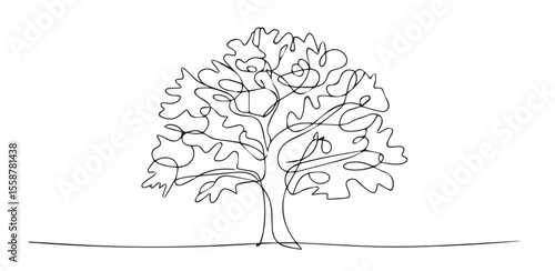 Minimalist black line drawing of a solitary oak tree single line drawing nature