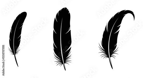 Bird plumage set. Big set of bird feathers design. fluffy swan. Pen icons design. set of bird feathers design. EPS 10