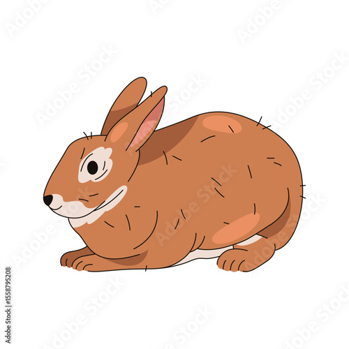 Forest rabbit or woodland hare, domestic bunny. Vector illustration of brown mammal with whiskers and ears. Easter herbivore animal. Countryside pet. Wildlife and nature, zoology and biology theme.