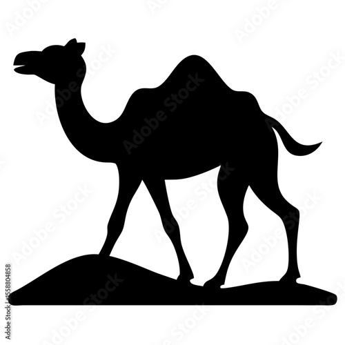camel in desert