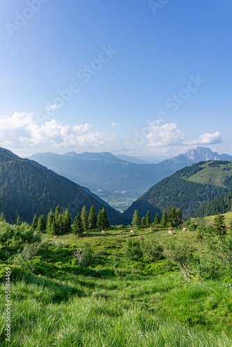 Almwiese mit Kühen, Einschnitt zwischen zwei Bergen gibt Blick ins Tal und auf die Berge dahinter frei, Österreich, Kärnten, Gailtaler Alpen, Gailtal