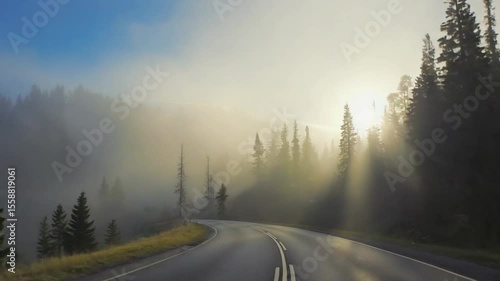 Majestic sunrise over misty mountain road with sun rays and pine trees.