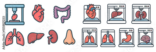 Medical illustrations show various human organs and anatomy in a clear, educational style suitable for teaching or presentation purposes