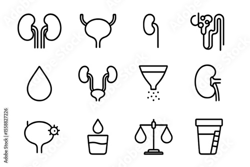 Kidney and urinary system icons on dark background
