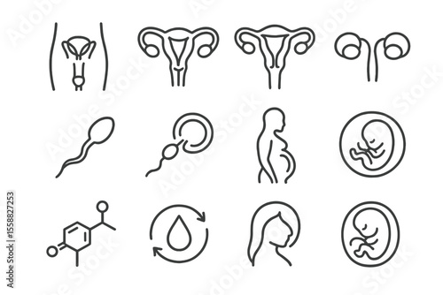 Reproductive system symbols: pregnancy, embryo, hormones, female anatomy