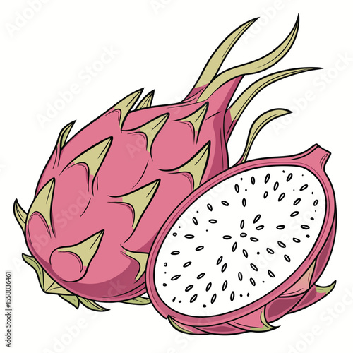 Vibrant Pink Dragon Fruit Sliced Open Exotic Tropical Illustration

