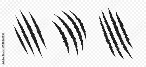 Scratch claw mark tiger bear paw icon. Animal lion slash claw vector wild monster shape design.