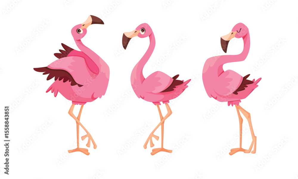 Obraz premium A Colorful Trio of Exquisite Flamingos, Illustrated in Vibrant and Lively Shades of Pink