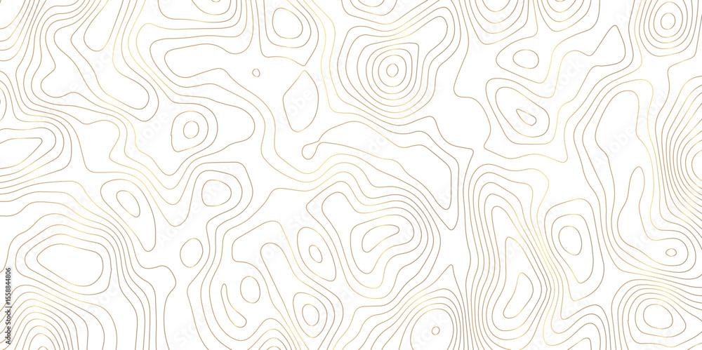Topography seamless lines pattern design. Black and white geometric curve wave lines. Geographic mountain relief. Seamless ornament design. Topography seamless lines pattern design. Black and white geometric curve wave lines. Geographic mountain relief. Seamless ornament design.