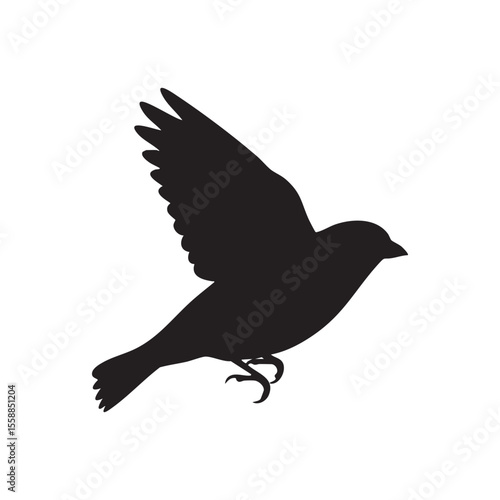 Bird Taking Flight Black Silhouette on White Background silhouette