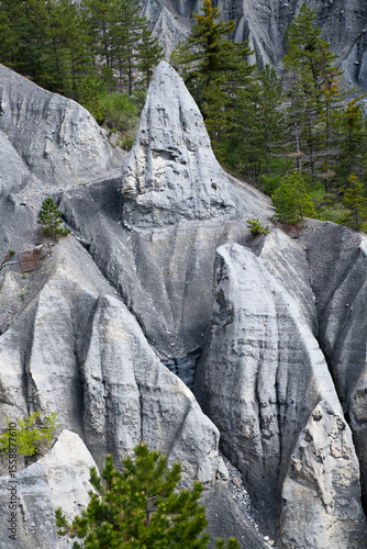 demoiselles coiffées des hautes alpes
