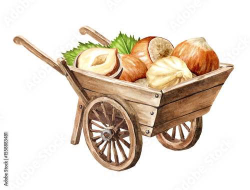 Fotografie Wooden garden wheelbarrow cart with hazelnut kernels