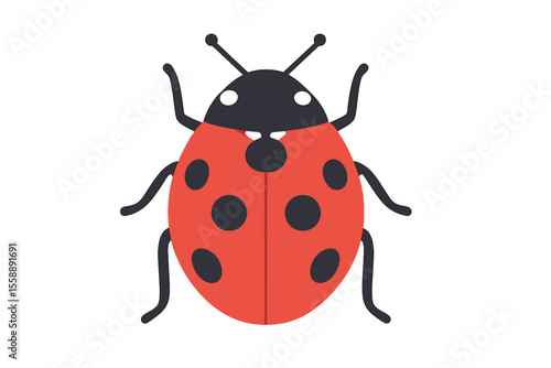 Colorful ladybug illustration on a white background suitable for educational and artistic purposes