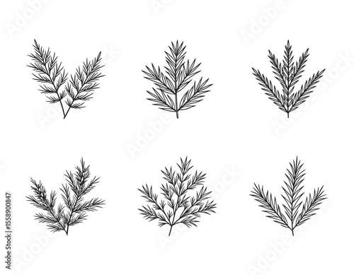 Elegant Black and White Illustration of Pine Branch, Nature Inspired Artwork, Botanical Line Drawing