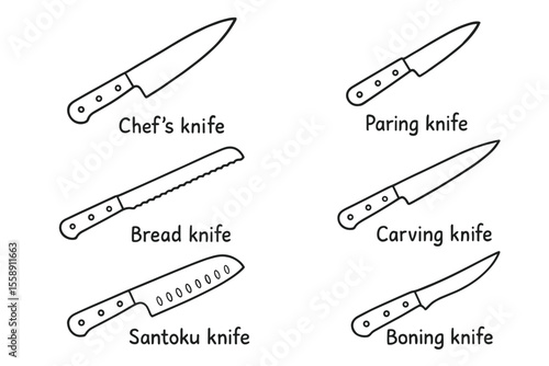 Illustrated guide to six essential kitchen knives