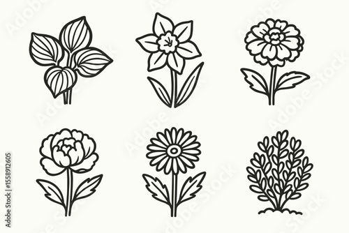 Simple black and white flower illustrations — tulip, daffodil, marigold, peony, daisy, lavender