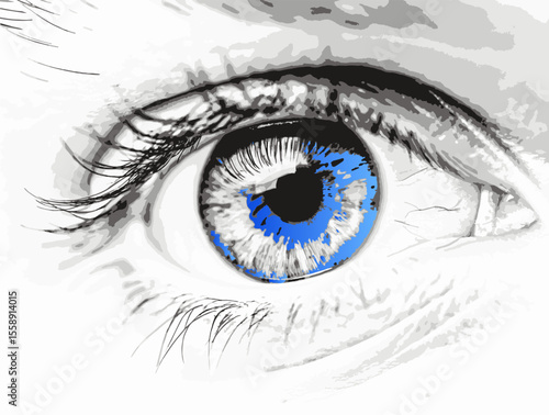 Human eye. Drawn human eye. Vector illustration