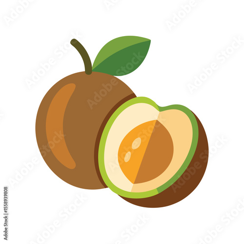 Sapodilla Fruit Whole and Halved Vector Set