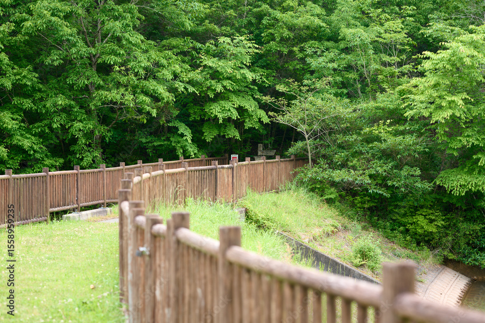 Fototapeta premium 森につながる遊歩道 